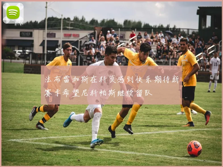 法布雷加斯在科莫感到快乐期待新赛季希望尼科帕斯继续留队